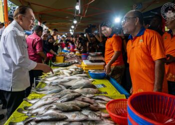 Politik ‘tersasar’ paling banyak merungut – PM